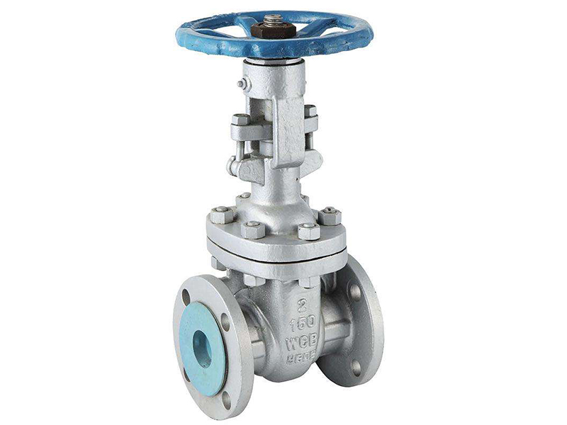API 600 Wedge gate valve